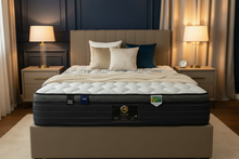 Load image into Gallery viewer, Queen Size Bed